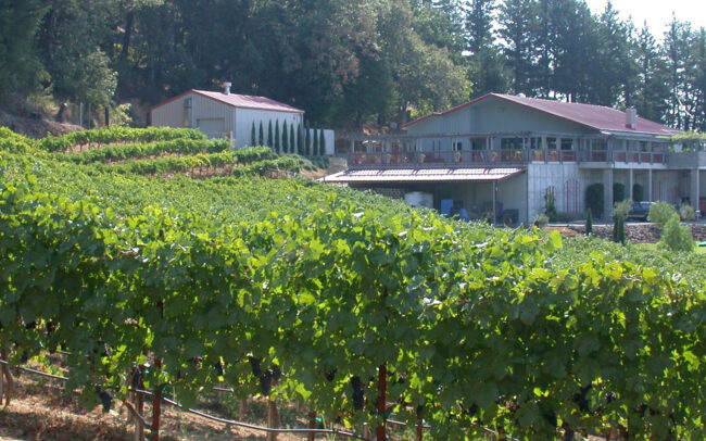 Best tasting rooms with vineyard views in Santa Cruz Mountains, CA, David Bruce Winery
